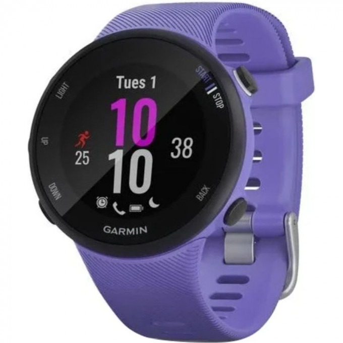 Часы GARMIN FORERUNNER 45s Ирис 010-02156-11 Часы GARMIN FORERUNNER 45s Ирис 010-02156-11