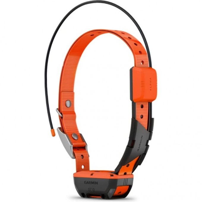 Ошейник для собак GARMIN ALPHA T 20 RU 010-02447-F1 Ошейник для собак GARMIN ALPHA T 20 RU 010-02447-F1